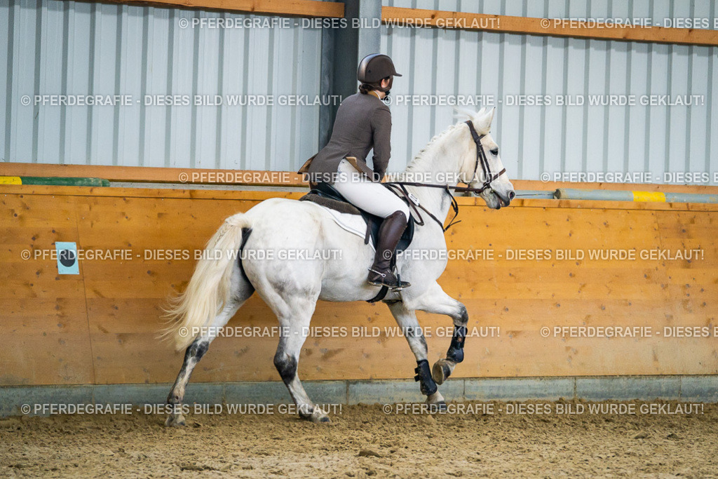 DSC00677 | Pferdegrafie