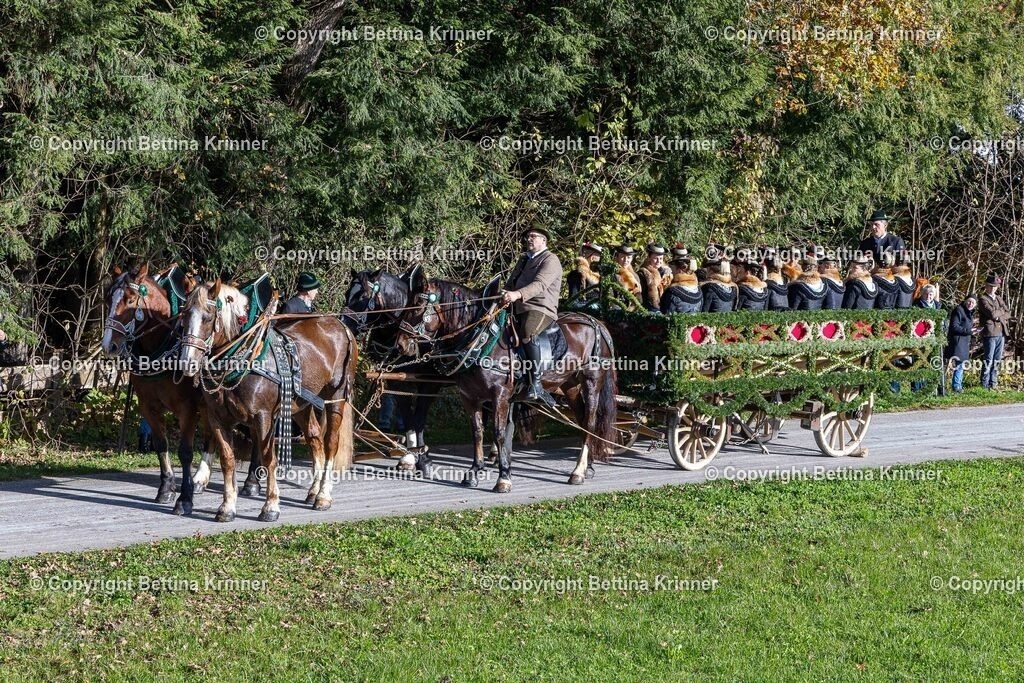 LBT24-411 | foto-bettina-krinner - Realisiert mit Pictrs.com