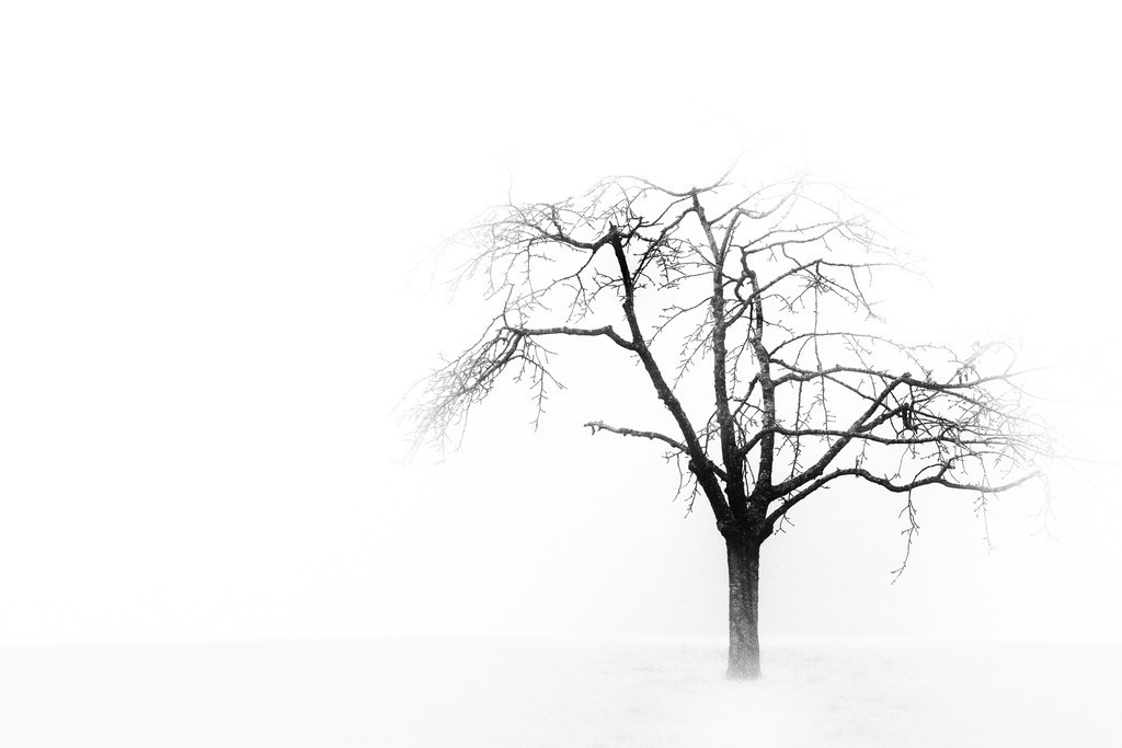 2023_02_16 A7409414 | bridgeman - Realisiert mit Pictrs.com
