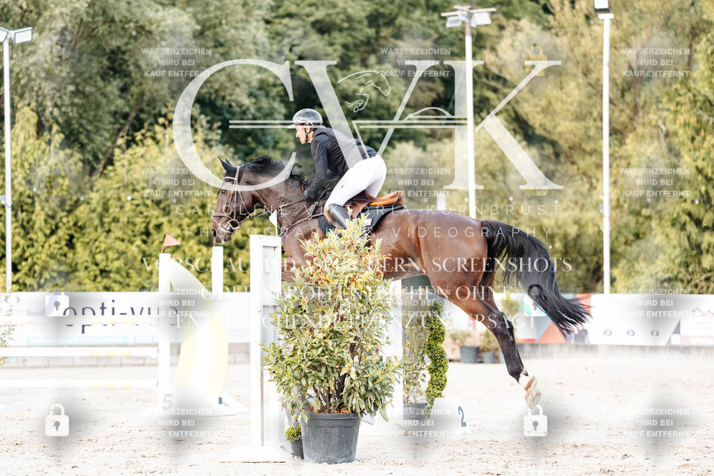 CK903746 | Turnierfotografie Pferdefotografie Trier Rheinland-Pfalz Pferdesport Reitsport Tierfotografie Sportfotografie Pferdevideo Pferdevideografie Equestrianvideography equestrianphotography  - Realisiert mit Pictrs.com