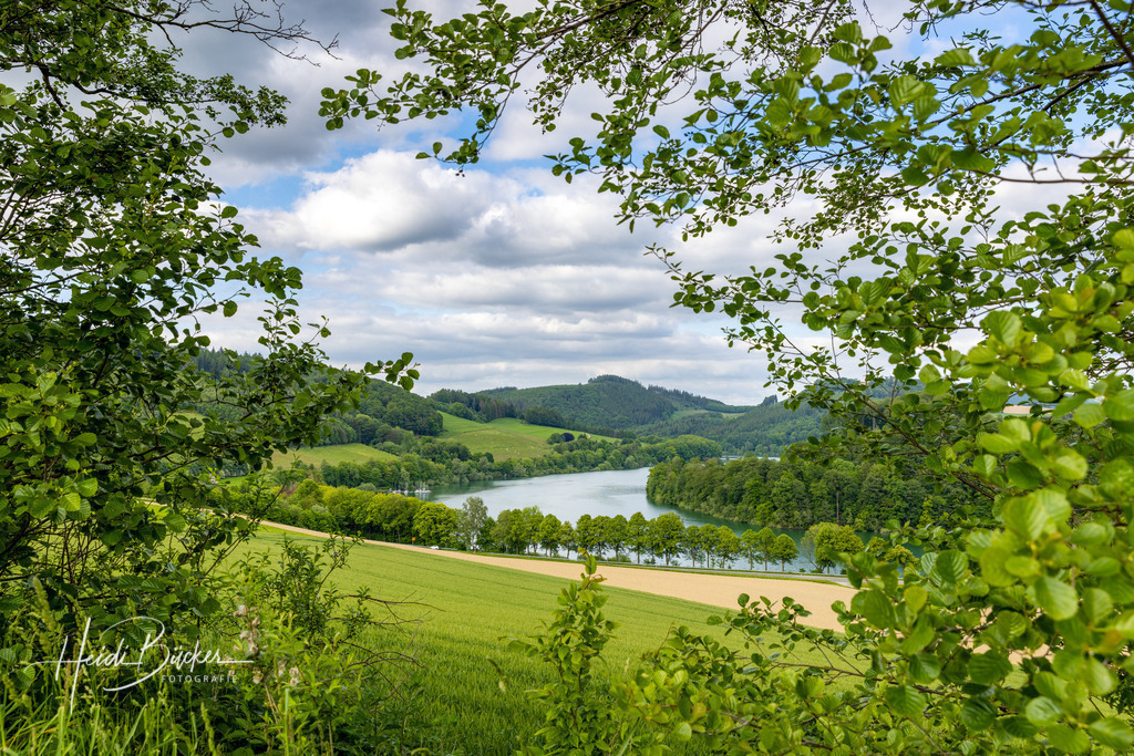 Hennesee bei Meschede | Blick durch Äste und Sträucher auf den Hennesee - Realisiert mit Pictrs.com