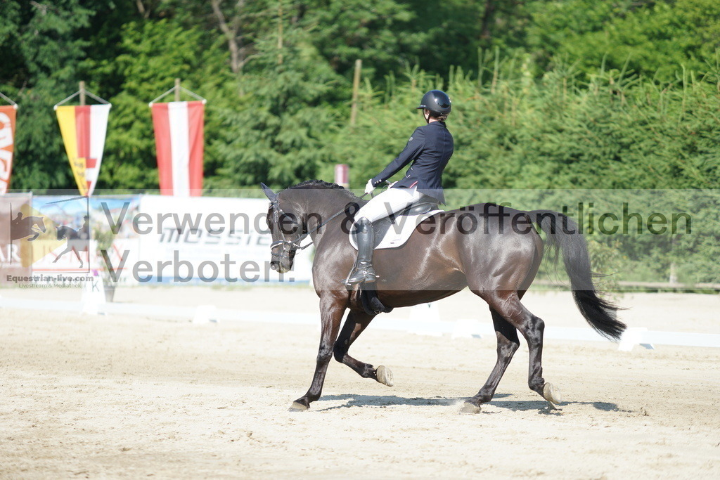 DSC02944 | equestrian-live-com