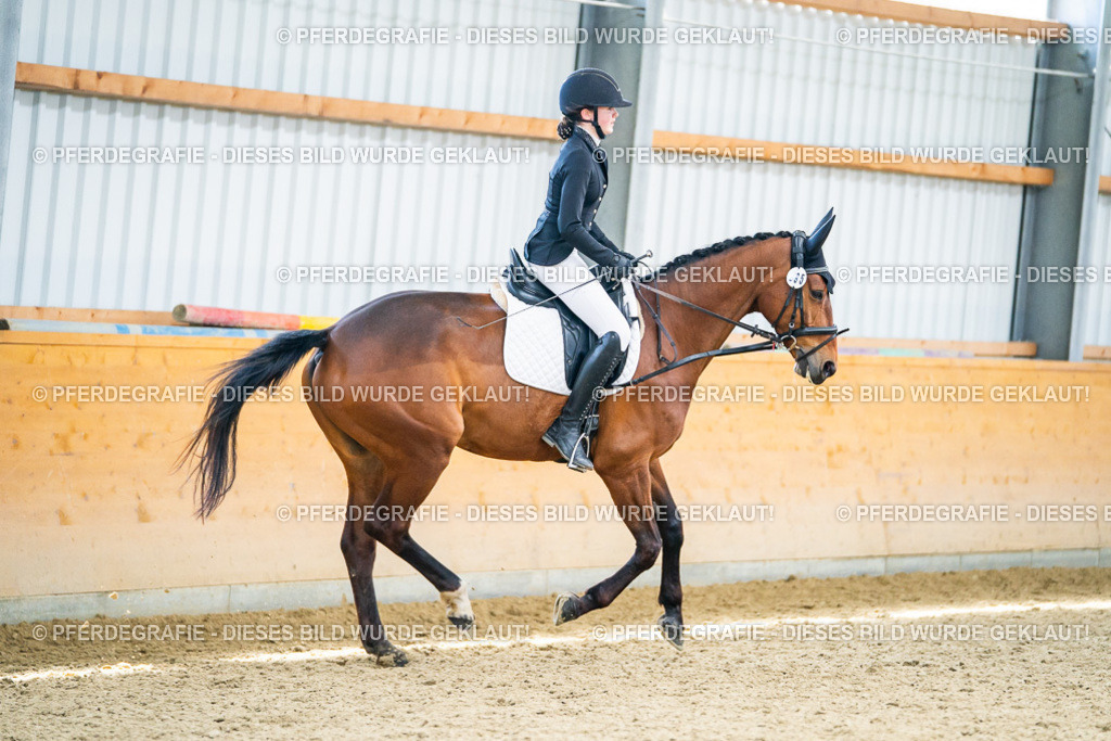 DSC04331 | Pferdegrafie