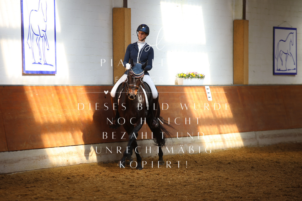 IMGT8613 | pl-fotografie