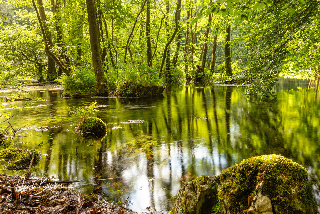 Almequellen bei Brilon | Almequellen bei Brilon - Realisiert mit Pictrs.com