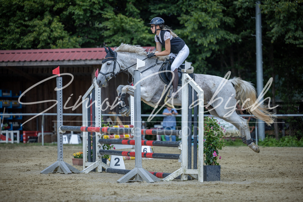 20260704-_3LI0643 | Tierfotografie Pferde, Hunde, Katzen, Haustiere.
Turnierfotografie Reitturniere, Reiten, Springreiten, Dressur in Hanau, dem Main-Kinzig-Kreis und dem Rhein-Main- Gebiet um Frankfurt