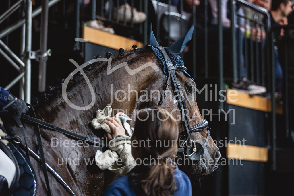 231028_Oldenburg_S1-Spr_Amateure-181 | Deine schönsten Turniermomente als professionelle Fotos! Entdecke hochwertige Pferdesport-Fotografie im Online-Shop. Jetzt Fotos finden & bestellen!