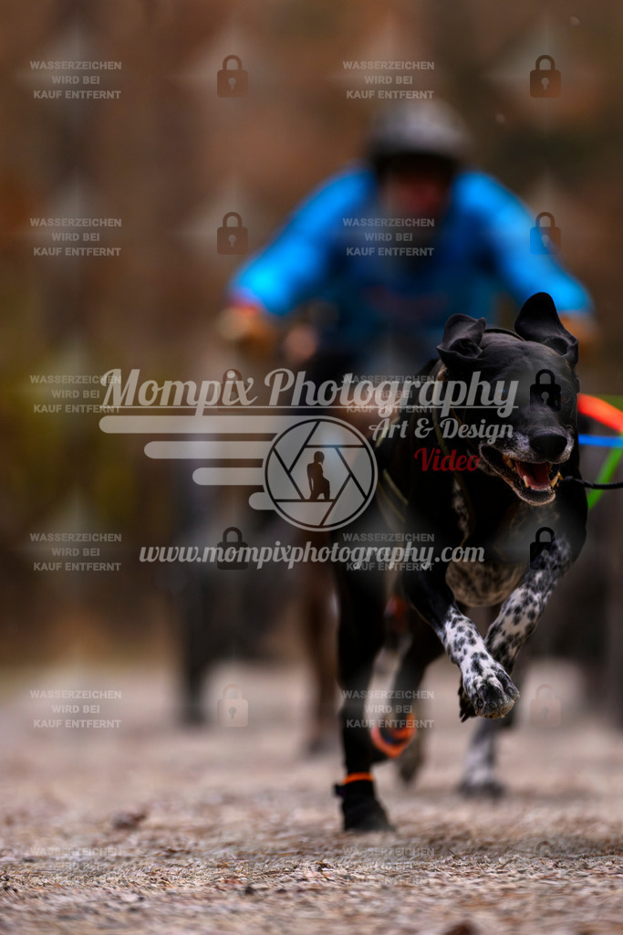 MompixPhotography_DM_AKDM_SO_2025_Wagen-17 | PayLife