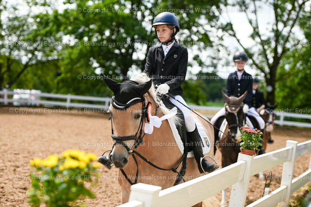 20230716_10-2_Reiter-WB Schritt - Trab - Galopp_0219 | equistock
