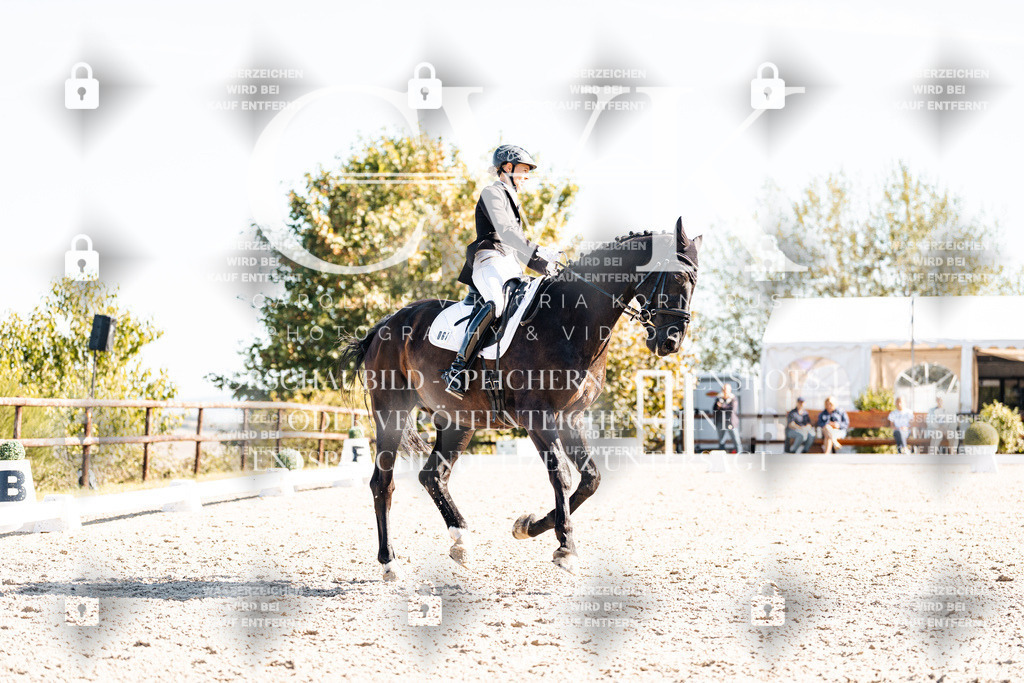 CK908900 | Turnierfotografie Pferdefotografie Trier Rheinland-Pfalz Pferdesport Reitsport Tierfotografie Sportfotografie Pferdevideo Pferdevideografie Equestrianvideography equestrianphotography  - Realisiert mit Pictrs.com
