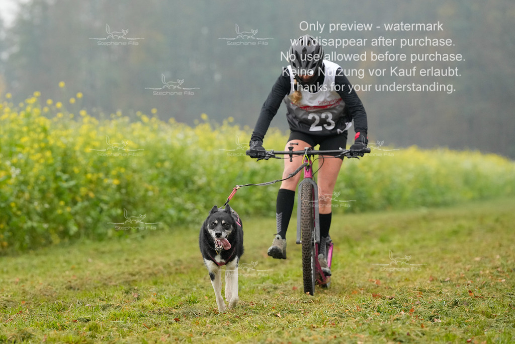 Visbeck_Sa_Scooter_Hc-85 | stephaniefillaphotographie - Realisiert mit Pictrs.com