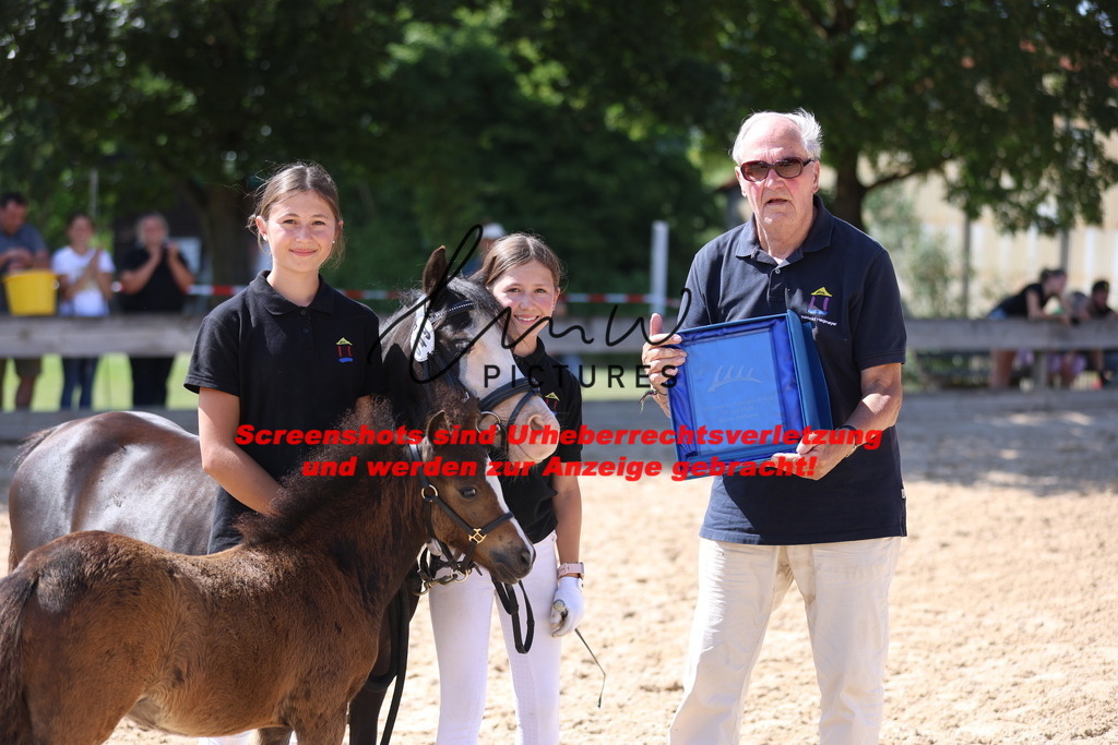 Fohlenschau_Schwäbisch_Hall_IMPRESSIONEN_19 | lmwpictures - Realisiert mit Pictrs.com