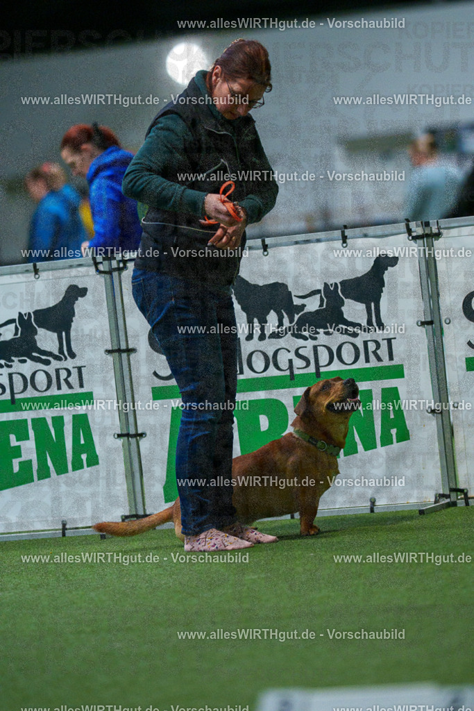 7R502338 | Professionelle Tierfotografie in Mönchengladbach von Daniel Wirth (allesWIRTHgut). Liebevolle & natürliche Bilder von Hunden & Katzen für unvergessliche Erinnerungen.