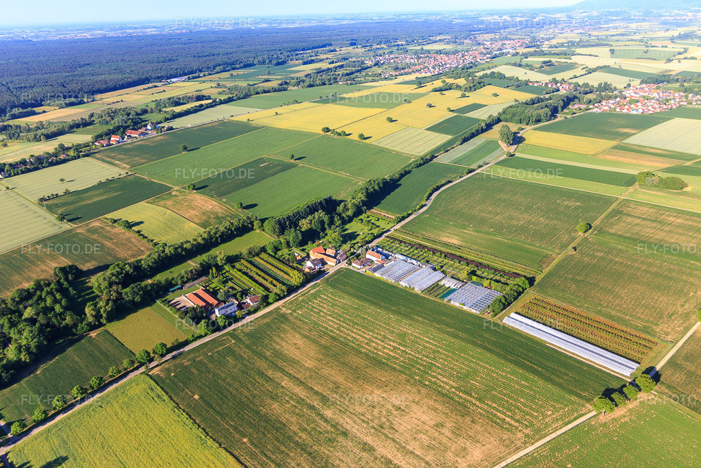 Luftbild: Gewächshäuser eines Gartenbaubetriebs in Vollmersweiler im Bundesland Rheinland-Pfalz in Deutschland. Foto: IMG_101003.jpg vom 17.06.2017 durch Werner Riehm/FLY-FOTO.de