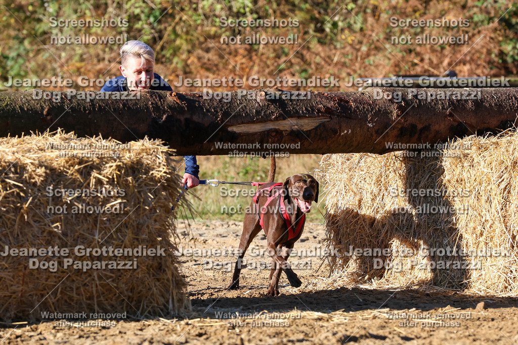 Dog Paparazzi - Strongdog 10-25-1467 | Dog Paparazzi Jeanette Grottendiek Fotografie & Videografie - Realisiert mit Pictrs.com