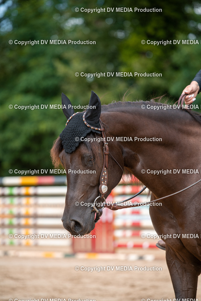 ZS3_9494 | dv-media-shop - Realisiert mit Pictrs.com