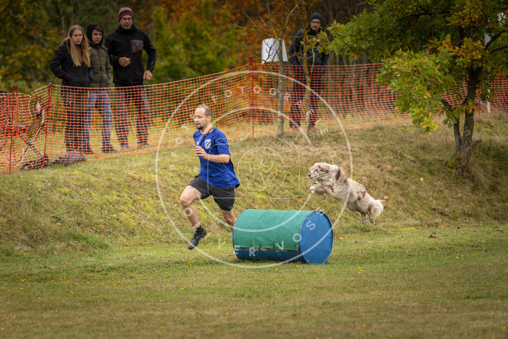 Pfotenfotografie_DV3A5881 | Hundefotografie, Tierfotograf, Pfotenfotografie, Fotoshooting Hund, Hunde Portrait, Hundesport, Hundeportraits, Heideshooting, Hunde, Sportfotograf, Hundefotograf, Turnierhundsport, THS,  - Realisiert mit Pictrs.com