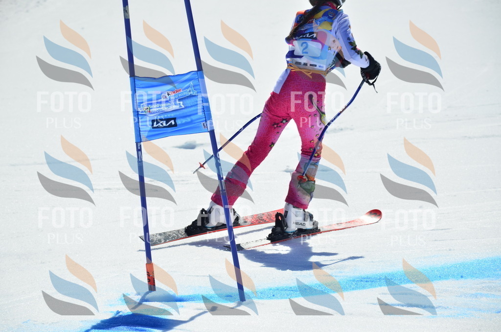 _ELE9703 | holidayphoto