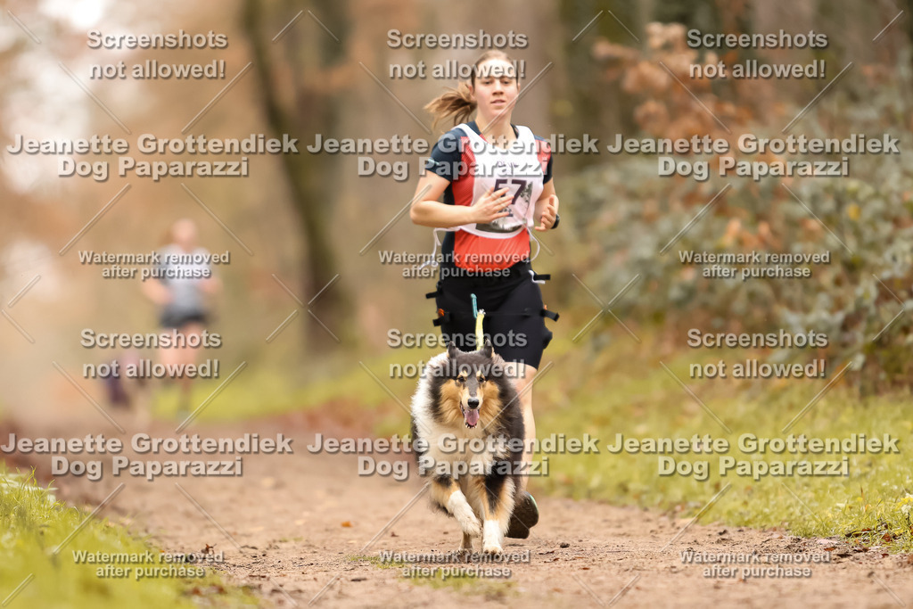Dog Paparazzi - Speedhunter Mannheim  2025-160 | Dog Paparazzi Jeanette Grottendiek Fotografie & Videografie