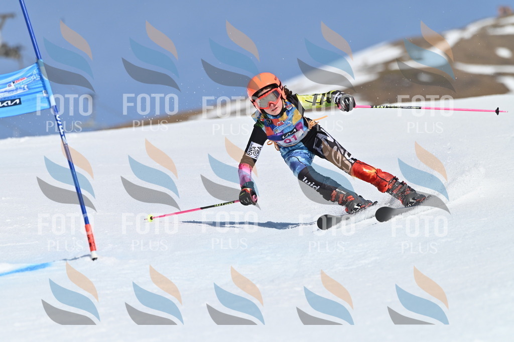 BGV_8743 | holidayphoto