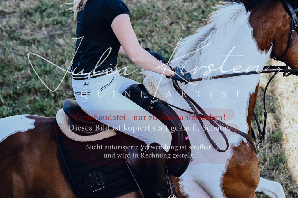 DSC_2416 | Pferde- und Turnierfotografie in Westsachsen. Pferdeportraits, Auftragszeichnungen und intuitive Kunst.