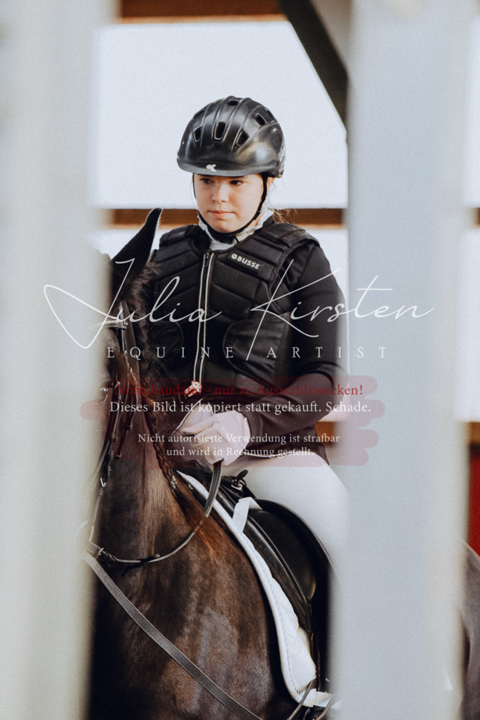 DSC_7192 | Pferde- und Turnierfotografie in Westsachsen. Pferdeportraits, Auftragszeichnungen und intuitive Kunst.