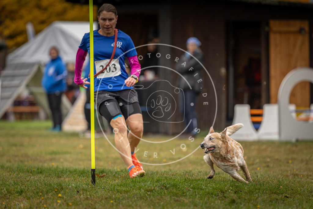 Pfotenfotografie_DV3A1660 | Hundefotografie, Tierfotograf, Pfotenfotografie, Fotoshooting Hund, Hunde Portrait, Hundesport, Hundeportraits, Heideshooting, Hunde, Sportfotograf, Hundefotograf, Turnierhundsport, THS,  - Realisiert mit Pictrs.com