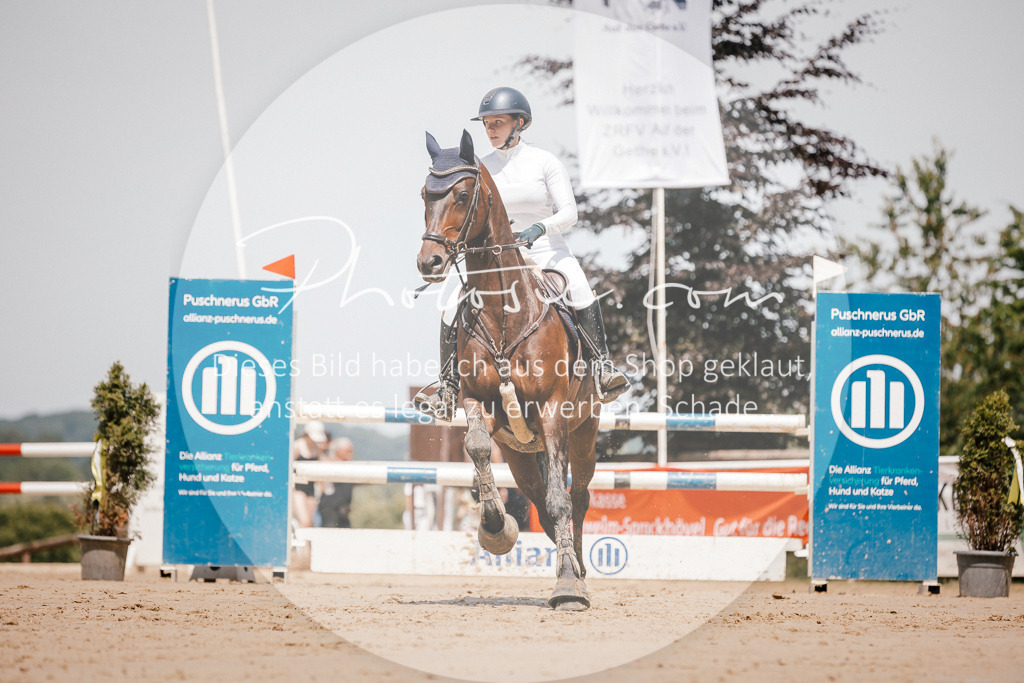 3I6A7920 | Stimmungsvolle Portraits und Reitsportfotografie im Ruhrgebiet und im Münsterland.

Pferdefotografie, Hundefotografie, Tierfotografie, Reportagen, Portraits von Tier und Mensch, Turnierfotografie in Bochum, Recklinghausen, Marl, Haltern am See, Dülmen.. - Realisiert mit Pictrs.com