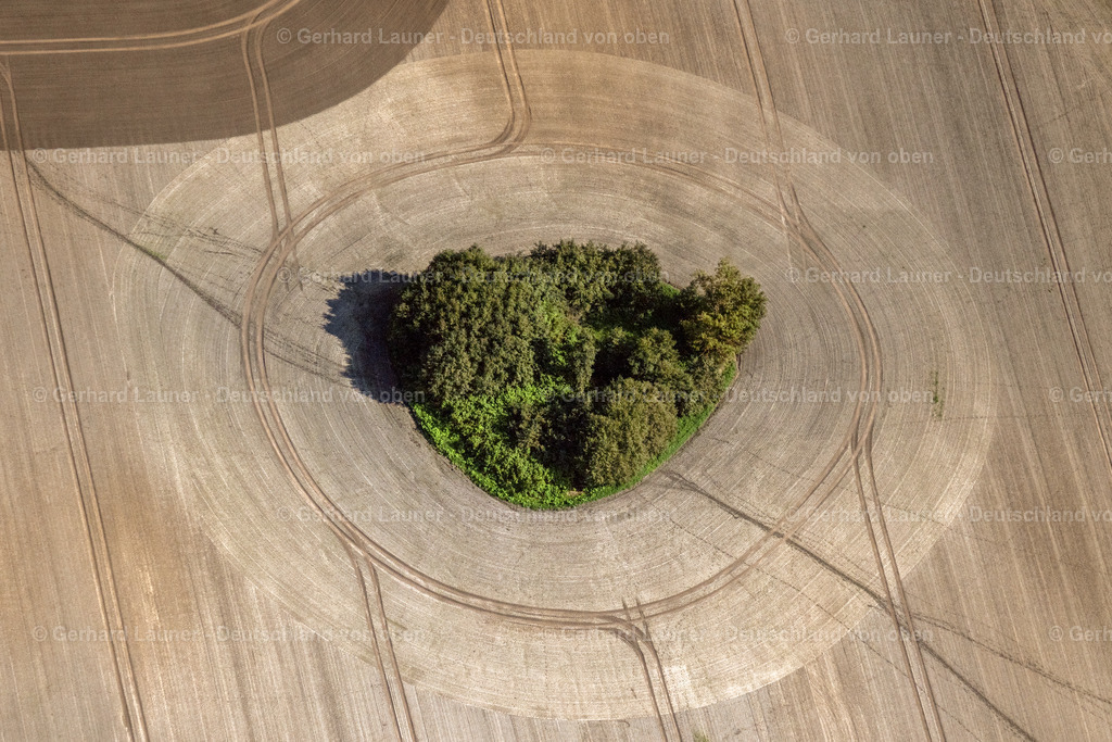 4062143 | INSEL POEL 08.09.2021 Baum- Insel auf einem Feld auf der Insel Poel an der Ostseeküste im Bundesland Mecklenburg-Vorpommern, Deutschland. // Island of trees in a field on the Insel Poel at the baltic coast in the state Mecklenburg - Western Pomerania, Germany. Foto: Gerhard Launer