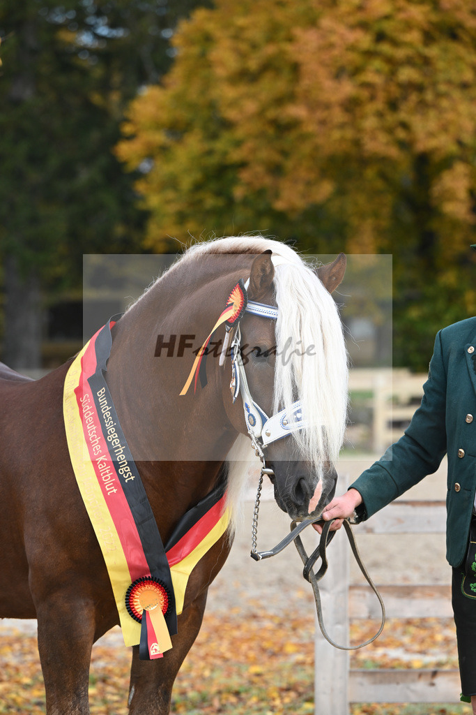 Kat-Nr. 90 Venturin_Hollinger u Ober_53223086 | hf-fotografie - Realisiert mit Pictrs.com
