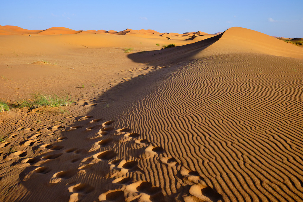 Grosse Düne im Abendlicht | Merzouga, Marokko - November 14, 2024: Grosse Düne im romantischen Abendlicht. - Realisiert mit Pictrs.com
