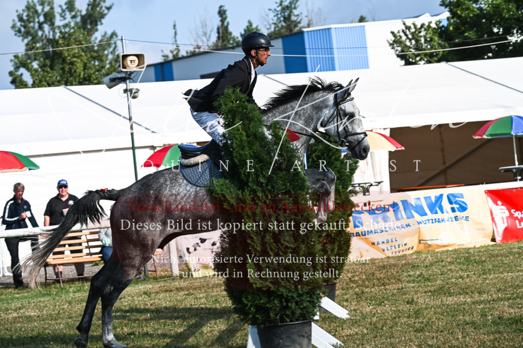 DSC_7489 | Pferde- und Turnierfotografie in Westsachsen. Pferdeportraits, Auftragszeichnungen und intuitive Kunst.