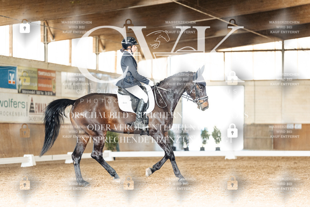 CK902367 | Turnierfotografie Pferdefotografie Trier Rheinland-Pfalz Pferdesport Reitsport Tierfotografie Sportfotografie Pferdevideo Pferdevideografie Equestrianvideography equestrianphotography  - Realisiert mit Pictrs.com