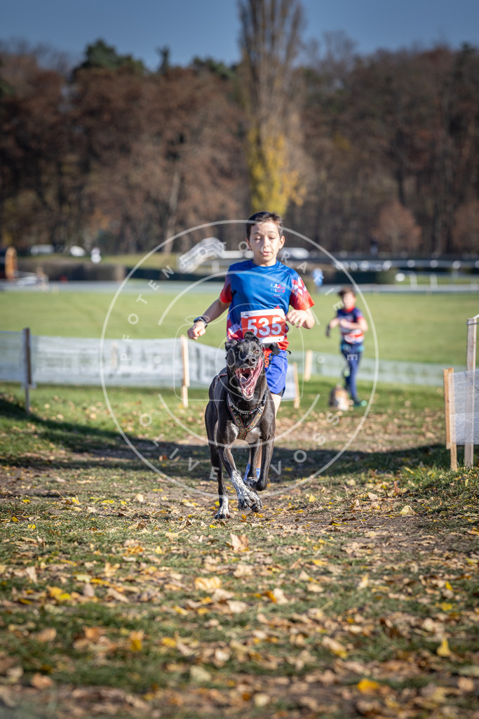 CaniXpix_DV3A8284 | Hundefotografie, Tierfotograf, Pfotenfotografie, Fotoshooting Hund, Hunde Portrait, Hundesport, Hundeportraits, Heideshooting, Hunde, Sportfotograf, Hundefotograf, Turnierhundsport, THS,  - Realisiert mit Pictrs.com