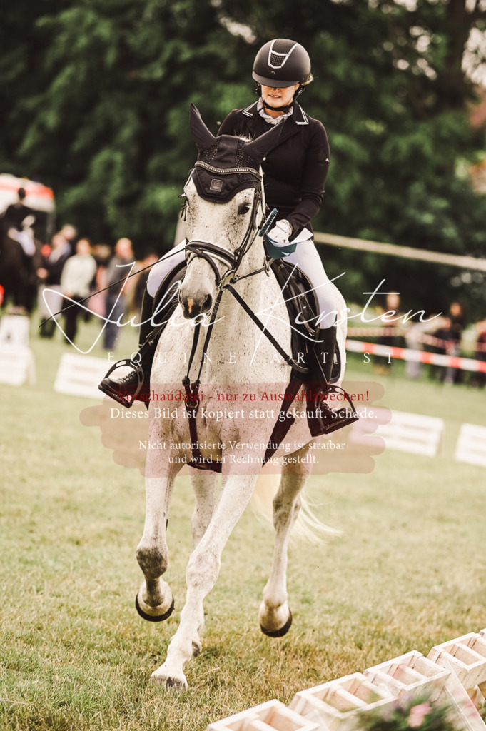 DSC_5176 | Pferde- und Turnierfotografie in Westsachsen. Pferdeportraits, Auftragszeichnungen und intuitive Kunst.