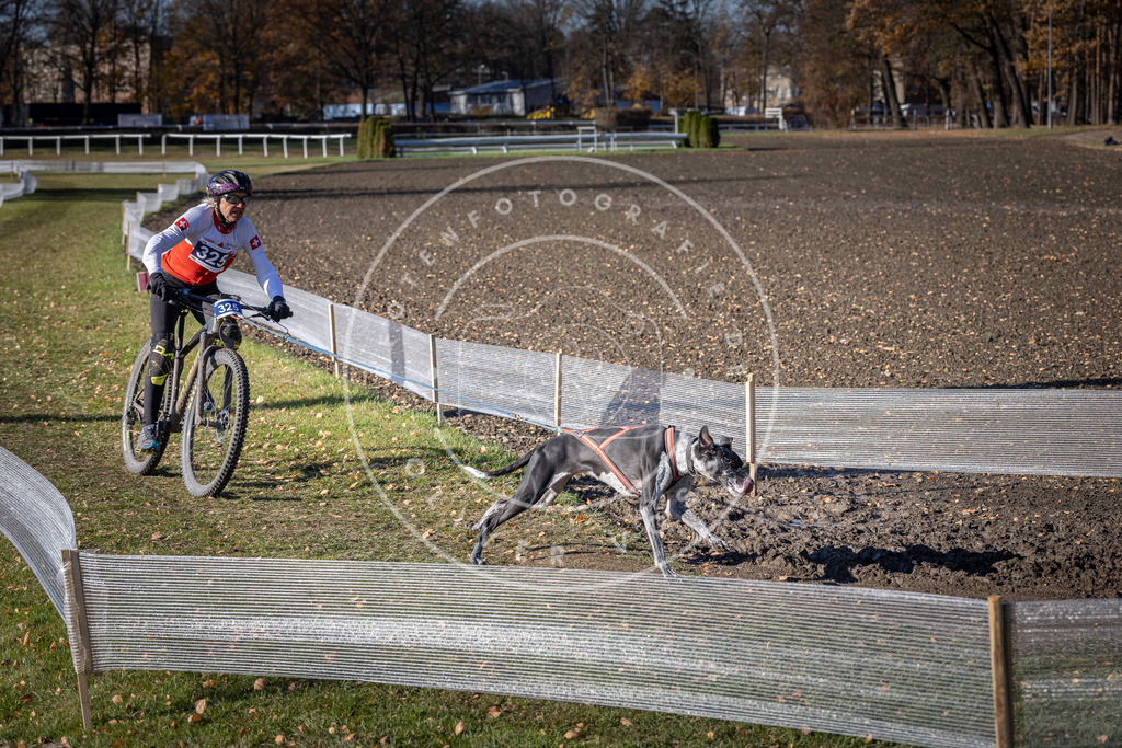 CaniXpix_DV3A6608 | Hundefotografie, Tierfotograf, Pfotenfotografie, Fotoshooting Hund, Hunde Portrait, Hundesport, Hundeportraits, Heideshooting, Hunde, Sportfotograf, Hundefotograf, Turnierhundsport, THS,  - Realisiert mit Pictrs.com