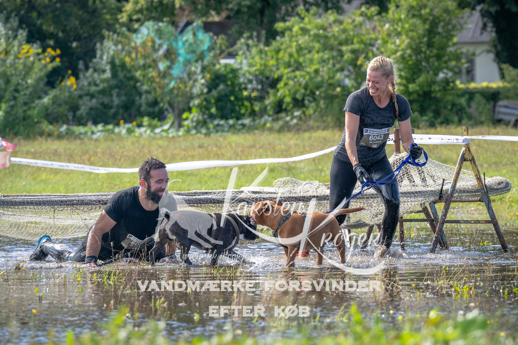 1146_ZZ91455 | kk-dogfotos