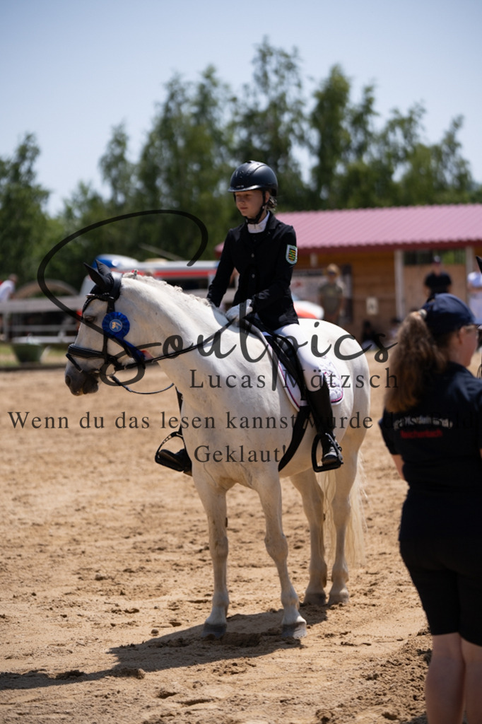 A7V08210 | Pferdefotograf