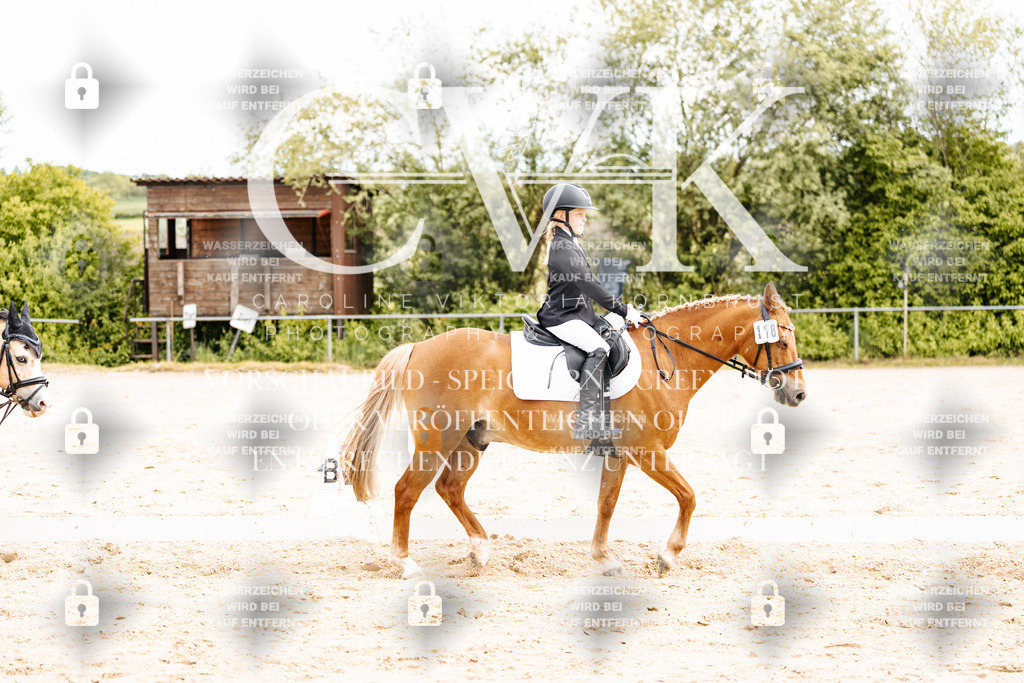 CK904466 | Turnierfotografie Pferdefotografie Trier Rheinland-Pfalz Pferdesport Reitsport Tierfotografie Sportfotografie Pferdevideo Pferdevideografie Equestrianvideography equestrianphotography  - Realisiert mit Pictrs.com