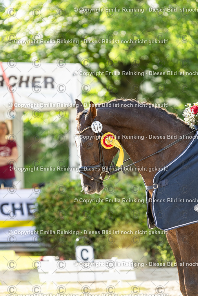 CL5A6771-2 | Emilia Reinking Fotografie - Realisiert mit Pictrs.com