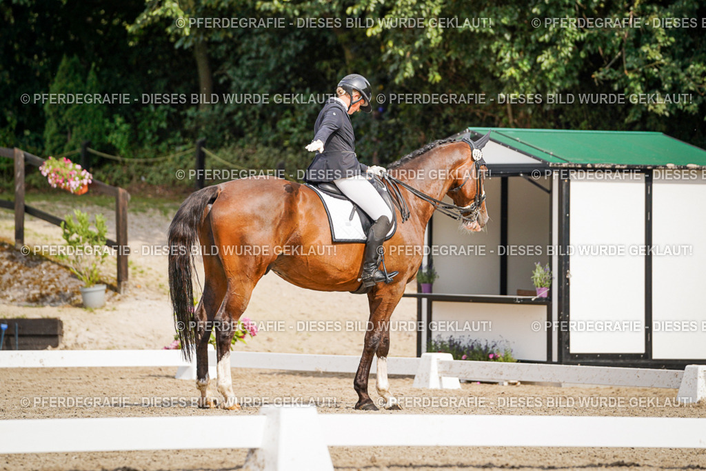 DSC06627 | Pferdegrafie