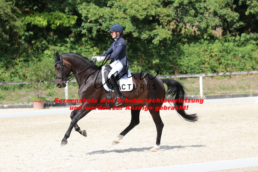 IMG_7188 | lmwpictures - Realisiert mit Pictrs.com