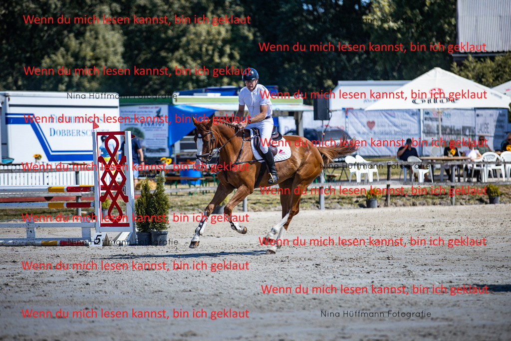BK1A5446 | Turnierbilder Turnierfotos Nina Hüffmann Turnierfotografie Pferdefotografie Tierzeichnung Haustierzeichnung Pferdezeichnung Hundezeichnung Videograf  - Realisiert mit Pictrs.com