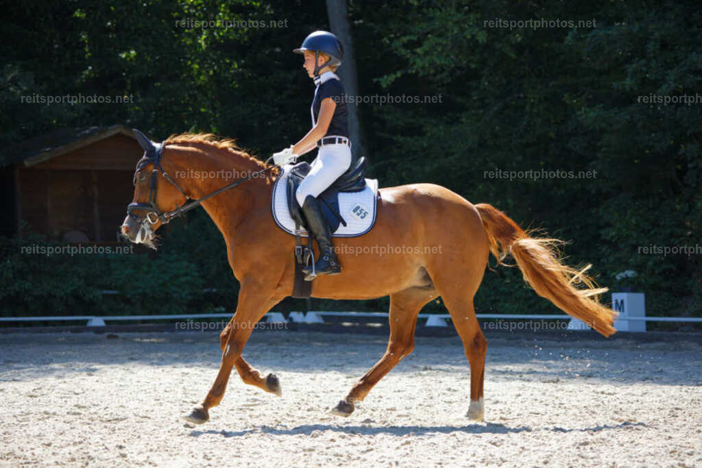 JHE_7840 | JoYa Fotografie - Realisiert mit Pictrs.com