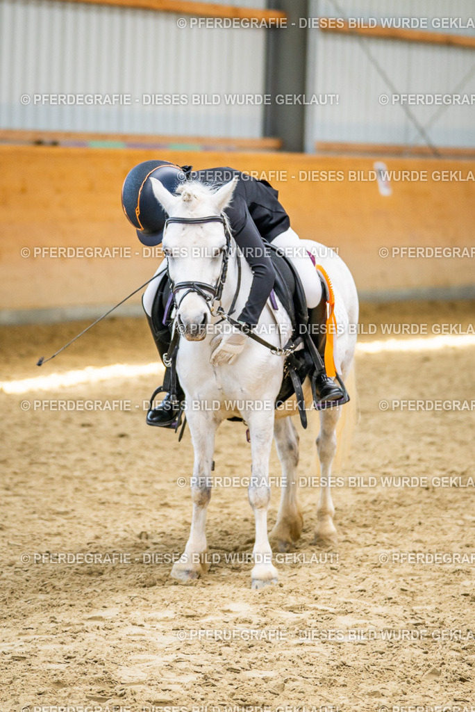 DSC03465 | Pferdegrafie