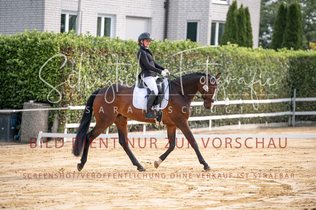 Schugtsche-Aluta25-40.DressurprfA_-52 | Schugtsche Fotografie - Realisiert mit Pictrs.com