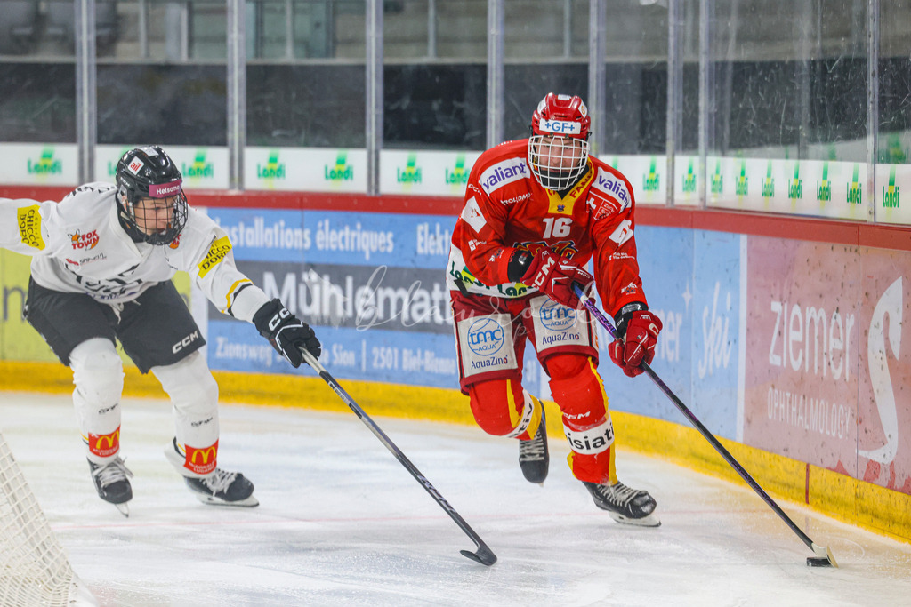 701A3140 | Sportbilder, Sportfotograf, Hochzeits- und Eventfotografin, Flugshows, Portraits und Tiershooting, Aviation, Downhill, Nationalleague, Swissleague, International