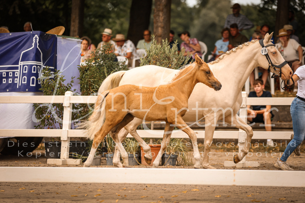 SaPA00248 | Leoni Ertmer Photography - Realisiert mit Pictrs.com