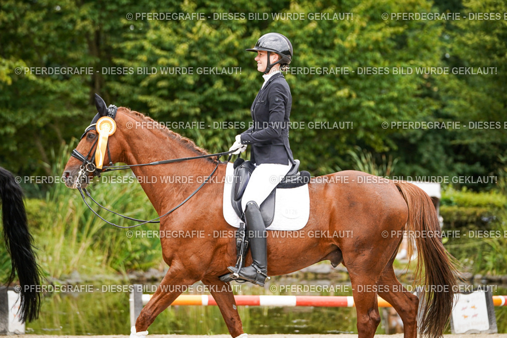 DSC04860 | Pferdegrafie