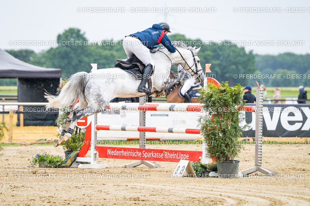 DSC07804 | Pferdegrafie